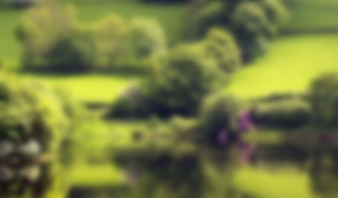 House-Greenary-1350x2400.jpg